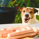 Image for article titled Keep These Barbecue Foods Away From Your Pets